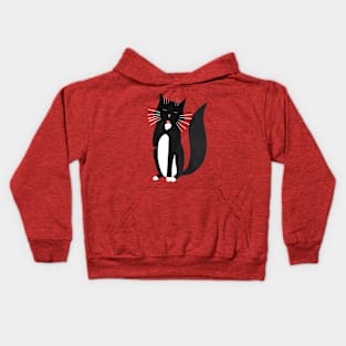 Washing Tuxedo Cat Kids Hoodie